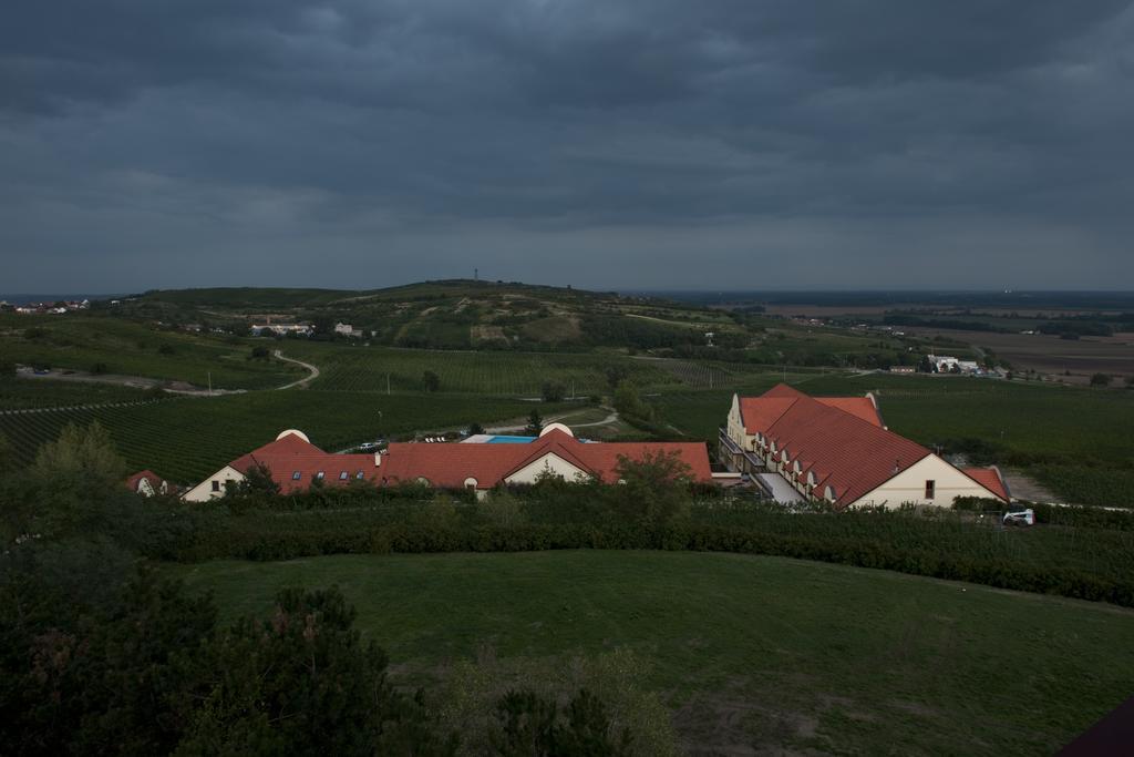 Отель Vinarstvi U Kaplicky Заечи Номер фото