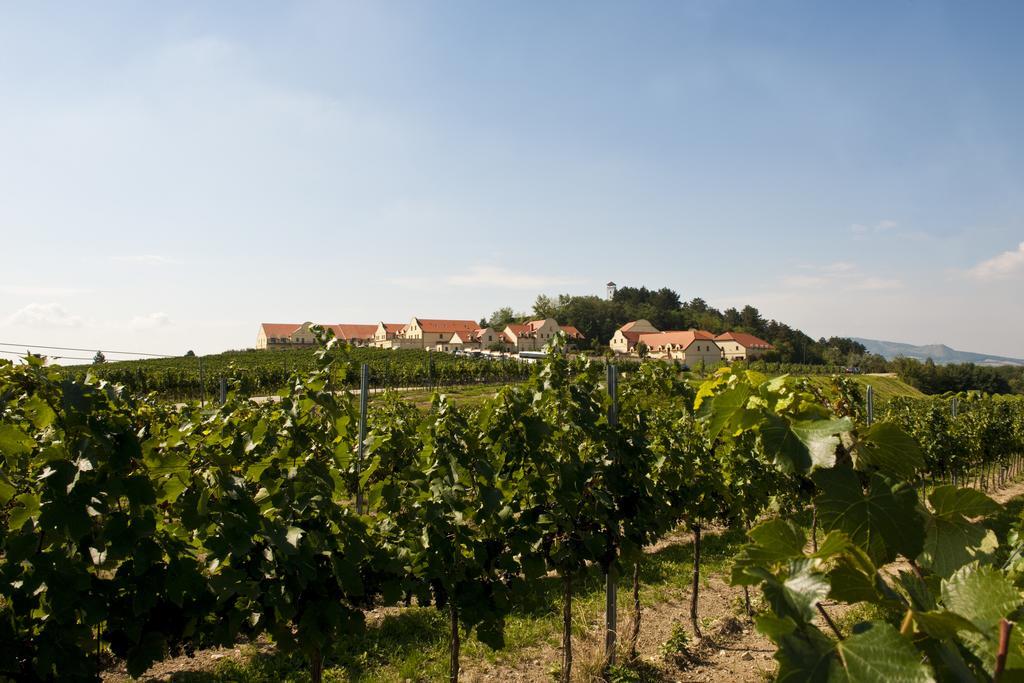 Отель Vinarstvi U Kaplicky Заечи Экстерьер фото